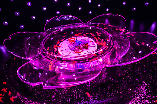 「江戸桜リウム」オブジェの中で金魚が泳ぐ