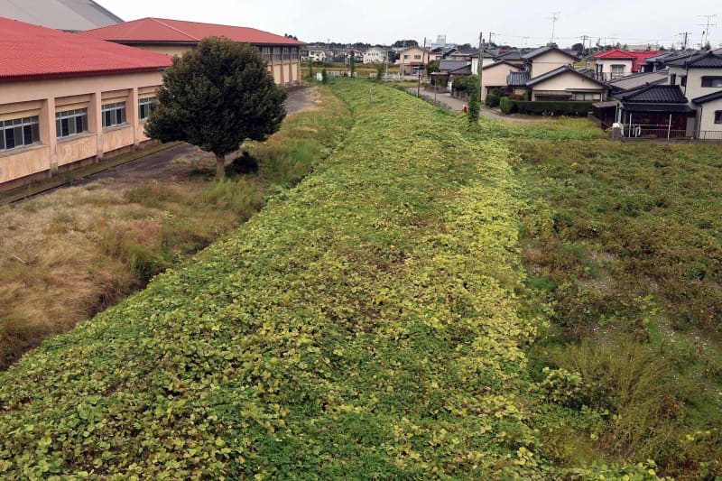 「秋の乗り放題パス」で山形へ　左沢線とフラワー長井線をめぐり、豪雨被害で一部バス代行中の米坂線の現状を見る２泊３日の旅