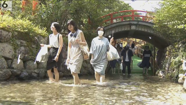 ひんやり冷たい池の水に素足で　無病息災祈る「みたらし祭」　京都・下鴨神社