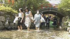 ひんやり冷たい池の水に素足で　無病息災祈る「みたらし祭」　京都・下鴨神社