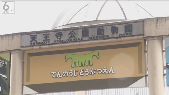 大阪・天王寺動物園で飼育員が動物のエサ用のリンゴなど盗んだか