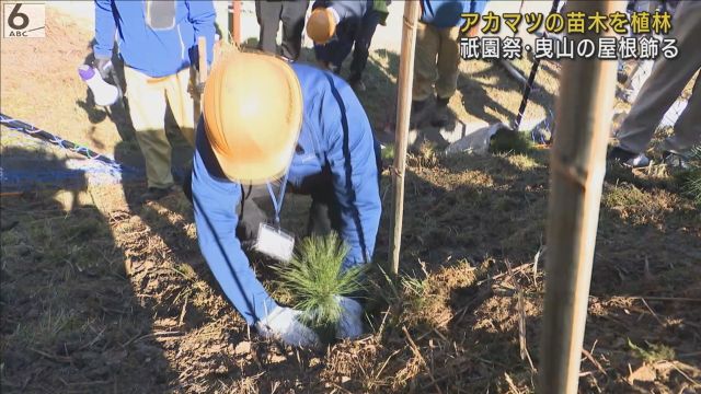 祇園祭・曳山の屋根飾る「アカマツ」安定確保へ　京丹波町で植林プロジェクト