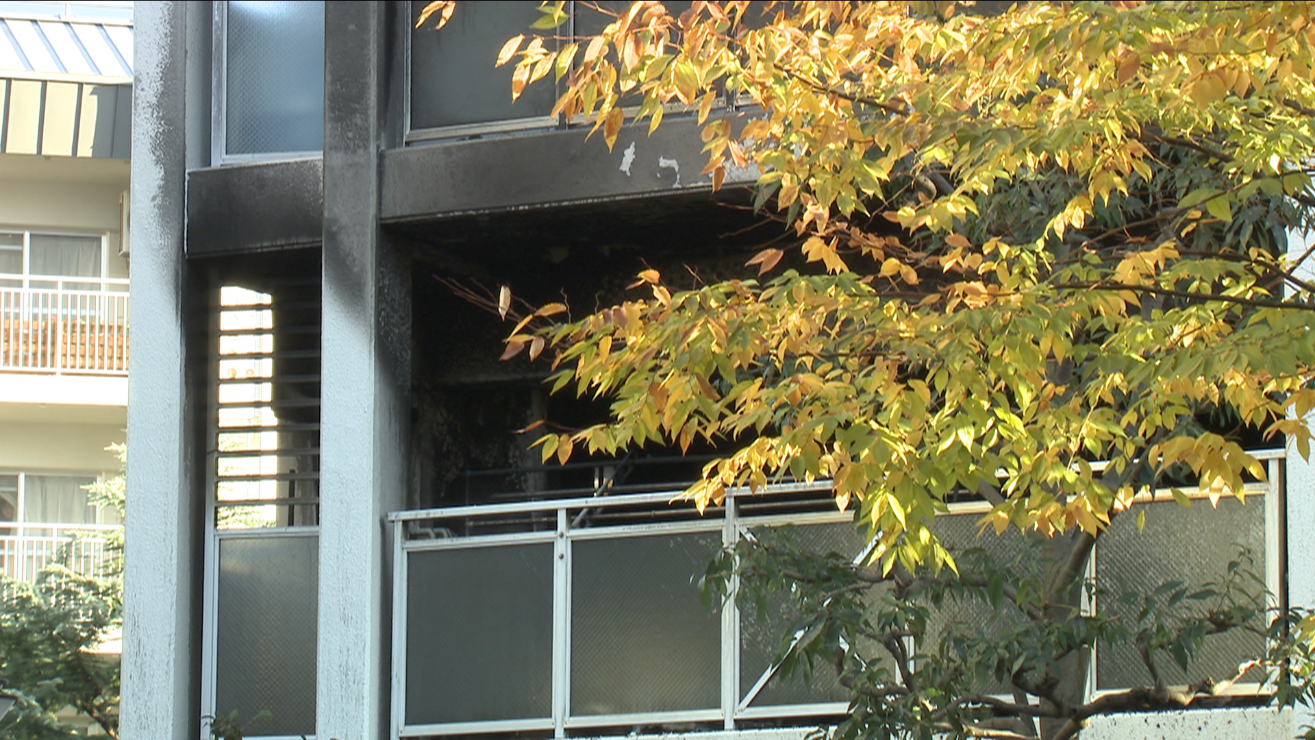 【速報】大阪市城東区のマンションで火事　７４歳母と４８歳息子が２人で暮らす部屋から出火　男性が死亡、女性がけが