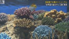 「グレートバリアリーフ水槽」リニューアル　死と再生を繰り返す「命の循環」を表現　海遊館