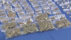 大麻密売疑いで少年ら４人逮捕　法律改正で１２日から大麻も麻薬に位置づけ　近畿厚生局麻薬取締部