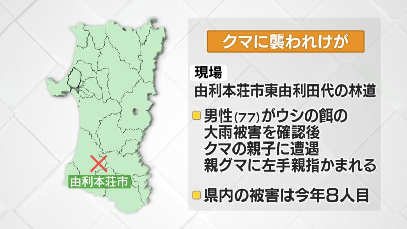 77歳男性　クマに襲われて左手にけが　林道で親子グマに遭遇