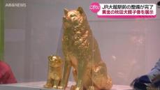 JR大館駅前の整備が完了　金箔約850枚使用の「黄金の秋田犬親子像」お披露目　常設展示へ