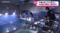 期間限定の裏側見学も！ 男鹿水族館GAO家族連れで大にぎわい