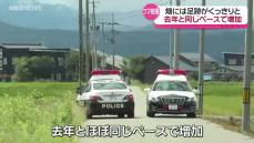 横手市十文字町の畑で85歳男性がクマに襲われて大けが  クマに襲われけがをした人は今年に入って10人目で 過去最多となった去年と同じペース