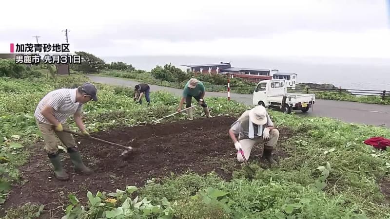 耕作放棄地を再生させたい　加茂青砂地区で進む取り組み　ダイコンの種植えと豊作祈願