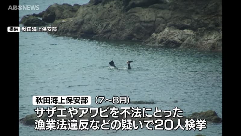 サザエやアワビの密漁でこの夏20人検挙