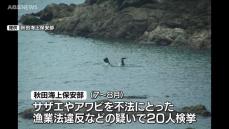 サザエやアワビの密漁でこの夏20人検挙