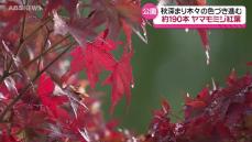 紅葉進む県内 秋田市仁別の旭川ダム公園はこれから本格的な見ごろ迎える