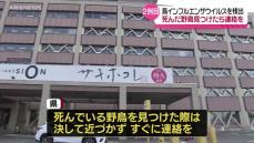 横手市で見つかったオオハクチョウの死がいから今シーズン2例目の鳥インフルエンザウイルス