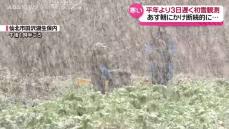 秋田市で初雪を観測 県内19日朝にかけて天気の急変に注意が必要