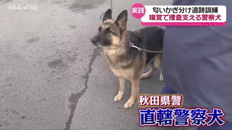 迅速な容疑者逮捕へ！警察犬が初参加　コンビニエンスストアで強盗事件を想定した訓練