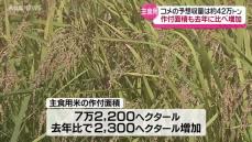 市場価格の上昇などが要因 主食用米の予想収量 去年を3万4000トンあまり上回る見通し 東北農政局