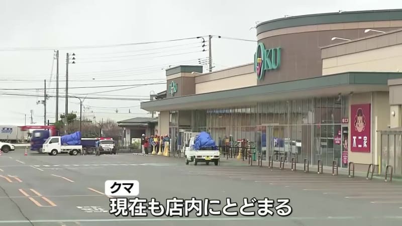 男性がクマに襲われけが　秋田市のスーパーに捕獲用のおり設置