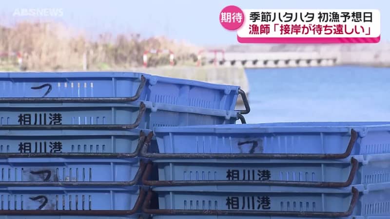 季節ハタハタ　初漁予想日も便りなし…漁師「しけが来ればハタハタが来るだろう」