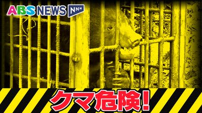 秋田市土崎地区でまたクマと思われる生き物目撃　6日夕方　コープあきたそばの県道  小学校まで300メートル   警察で注意を呼びかけ