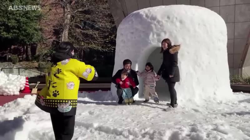 東京タワーの前に横手の雪でかまくら