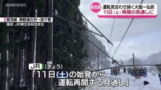 大雪による倒木などの影響で運転見合わせの続く奥羽線  11日に運転再開の見込み