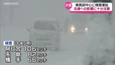 ピークは過ぎつつあるものの引き続き大雪の影響に注意を