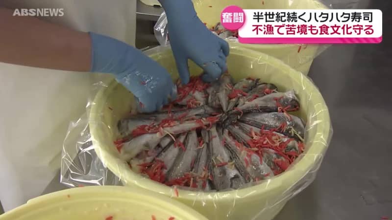 【特集】記録的な不漁の中 秋田の食文化"ハタハタ寿司"継承に奮闘する水産加工会社のいま