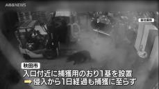 卸売市場敷地内の倉庫に侵入したクマ　丸一日経過も捕獲に至らず　市場は23日は通常営業　引き続き捕獲用のおりに入るのを待つ方針　秋田市