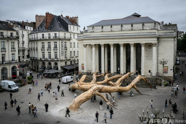 【今日の1枚】劇場前に根を張る巨木 フランス