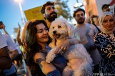 野犬の捕獲・殺処分認める法案可決 野党が抗議 トルコ