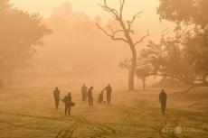 火災による大気汚染が原因の死者、年間150万人超 論文