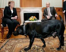 プーチン氏、メルケル氏に謝罪「犬が怖いとは知らなかった」