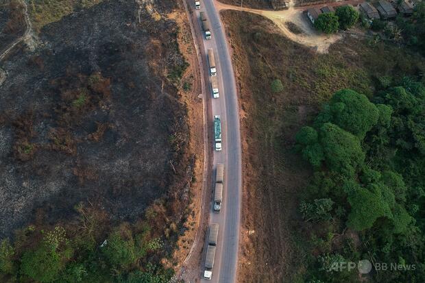 ブラジル・アマゾン一帯の殺人率、全国平均大幅に上回る 調査報告