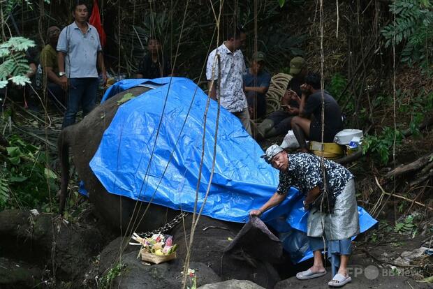 絶滅危機のスマトラゾウ、川に流され死ぬ インドネシア・バリ島