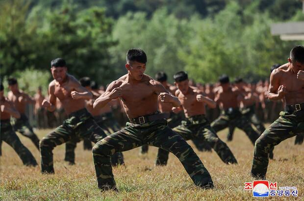 北朝鮮軍参戦は「大勢に影響なし」 ウクライナ国防省