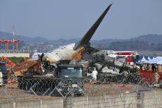 韓国旅客機事故、死者179人 鳥と衝突か