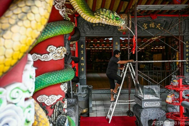 【今日の1枚】巳年の春節を前に マレーシアの蛇寺