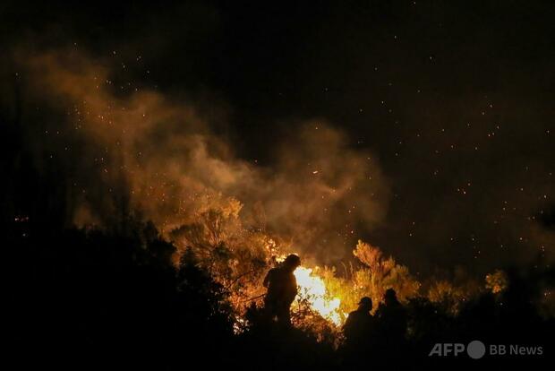 パタゴニアで森林火災、数百世帯が避難 強風と高温で急拡大