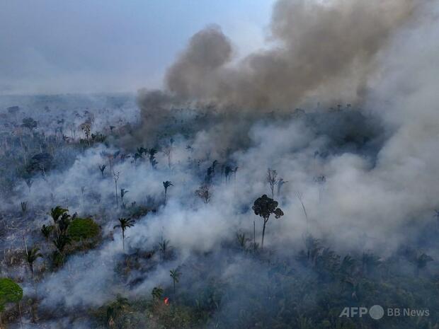 ブラジル、2024年の山火事でイタリア総面積以上が焼損 調査報告