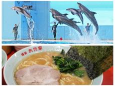 【横浜】好きなテーマパーク・動物園・水族館ランキング！ 2位「新横浜ラーメン博物館」、圧倒的1位は？