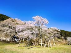 幸福度が高い「岐阜県の街（自治体）」ランキング！ 2位「本巣市」を抑えた1位は？