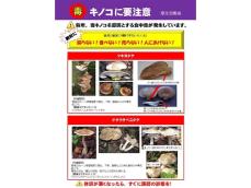 過去には死亡例も。「採らない！食べない！売らない！人にあげない！」農水省が“毒きのこ”へ注意喚起