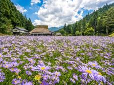 京都府の「住み続けたい街（駅）」ランキング！ 2位「元田中（叡山電鉄叡山本線）」、1位は？