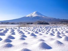 【公園編】外国人に人気の観光スポットランキング！ 2位「大石公園（山梨県）」を抑えた1位は？