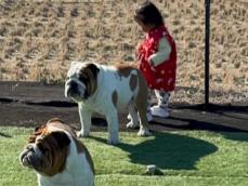 「もう直ぐまた離れ離れ」北斗晶、孫と愛犬のほっこりショット公開に「悲しい」「寂しいですね〜」の声