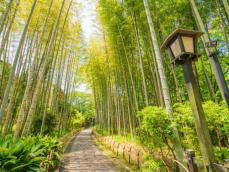 東京から日帰りで行きたい「静岡県（伊豆・熱海・東伊豆エリア）の温泉地」ランキング！ 2位「修善寺温泉」、1位は？