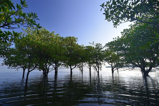 お金を遠ざけている3つの考え方