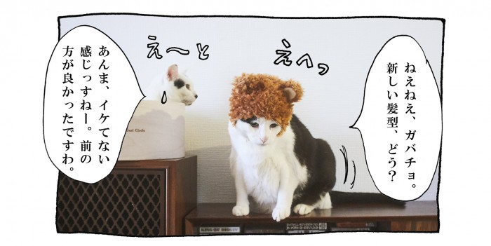 【猫写真４コママンガ】パンチョとガバチョ 「攻め合い」＃54
