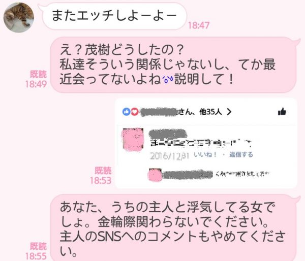 旦那の不倫相手から 奥さんに届いた 仰天line エピソード 記事詳細 Infoseekニュース